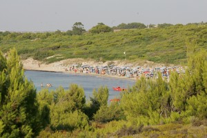 Lido Pizzo - Panoramica                        